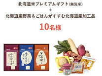 北海道米 プレゼント