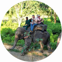 Nepal Kultur & Chitwan Nationalpark