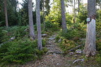 Bild: Wikipedia