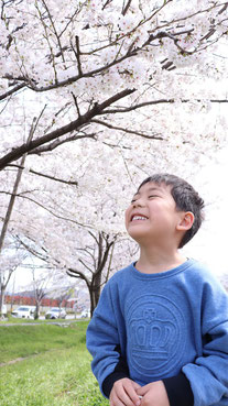 桜を掴もうとする子供の写真フリー素材　Photo free material of a child trying to grab a cherry blossom