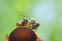 Foto: Karin Pusch