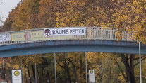 Protestaktion gegen Baumfällungen