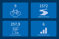 Ergebnis STADTRADELN 2025