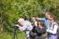 (Foto: B. Budig)