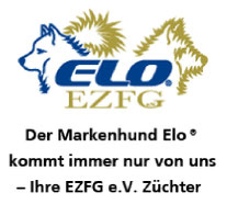Servicehund, Assistenzhund, Diabetikerwarnhund, Schulhund, Therapiehund