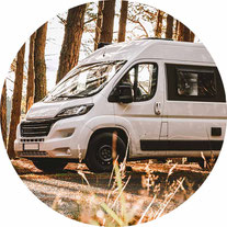 Kastenwagen in weiß im Wald 2025