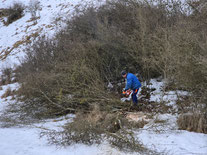 Foto: Simon Goedecke