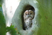 Foto: Volker Brinkmann