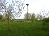 Wiese mit Storchennest + Hecken/ Bäumen (Berkach)  