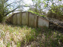 Eisvogelwand (Berkach) 