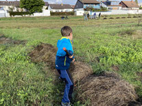 Freiwilliger schichtet Gras