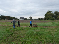 Freiwillige arbeiten auf der Wiese