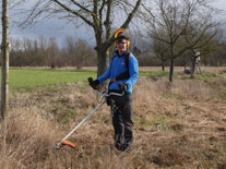 Freiwilliger beim Gras schneiden