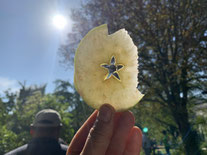 Apfel mit sternförmigem Kerngehäuse 