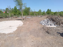 Eidechsenhabitat (GG-West)  