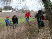 Hecken und Brombeeren werden zurückgeschnitten