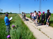 Wanderung mit den Naturfreunden zu unseren Blühflächen und Streuobstwiesen