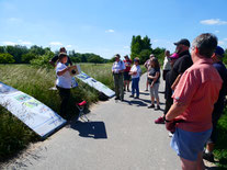 Wanderung mit den Naturfreunden zu unseren Blühflächen und Streuobstwiesen