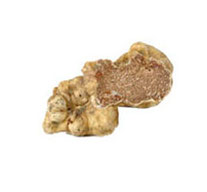 Albatrüffel - Der Trüffelgeschmack und das Trüffelaroma der wichtigsten Speisetrüffel in der Trüffelküche