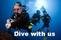 we work with the professional diving center. 