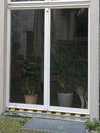 Punktmuster an einer Fensterscheibe. Foto: René Sievert