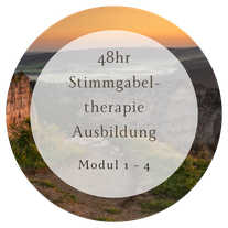 36hr Stimmgabeltherapie Ausbildung René Hug