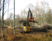 Foto: NABU Sulingen
