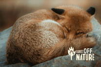 HandsOffNature