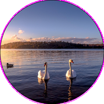 Taufe am See
