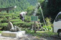 剪定作業