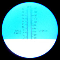 Blick durch das Okular eines Handrefraktometers. Ablesewert: 47 °Oechsle.