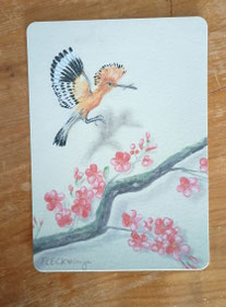 Postkarte Wiedehopf 2023-3, Vogel kommt geflogen