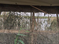 One of our Marsh Photo Blinds