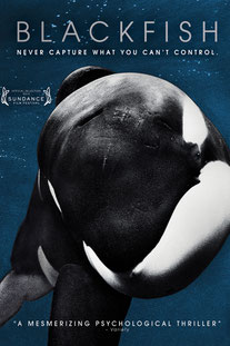 affiche blackfish bande annonce seaworld