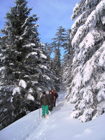 Raquettes à neige au Mourtis