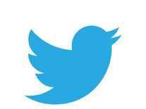 Ein Screenshot zeigt das Logo der Website Twitter. Foto: Twitter