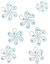 Rechenblume
