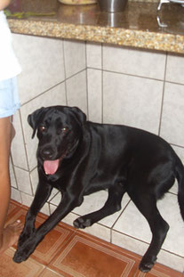 Campina Grande