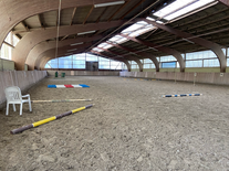 Trail Westernreitabzeichen