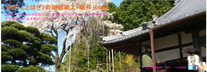  寿ぎの和紙細工「龍祥」blog    