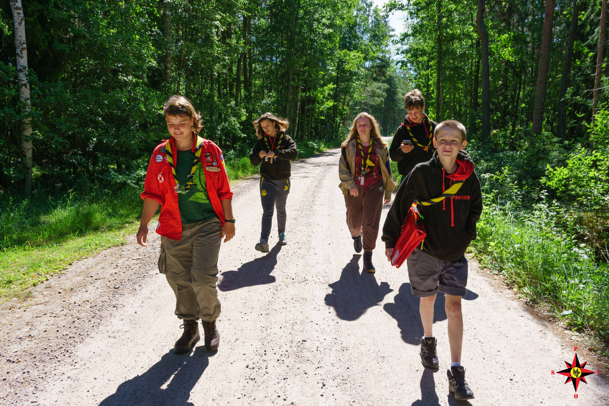 Wir die Pioniere pionierewaldchutzs Webseite!