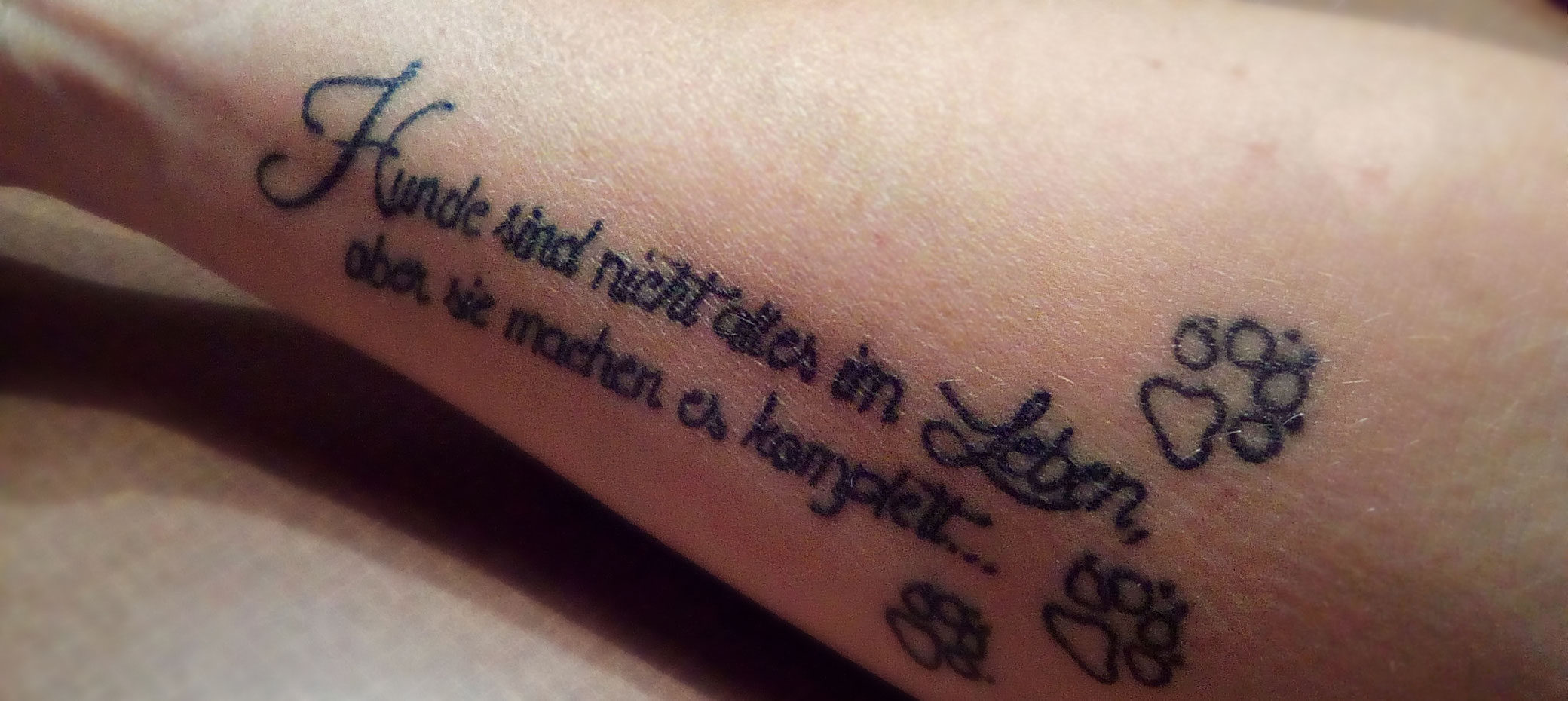 Wir lieben (unsere) Hunde bernervomdanzergartens Webseite!