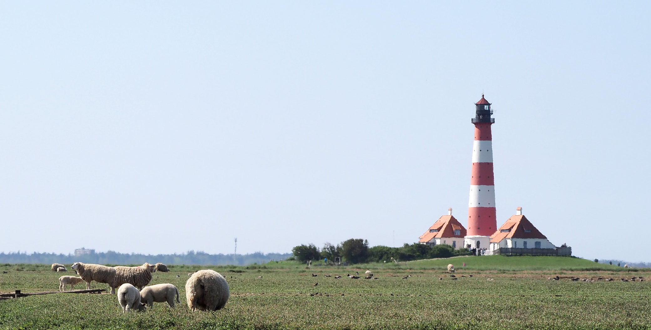 Leuchtturm Hochzeit, Hörnum, Amrum, Pellworm, Westerhever ...