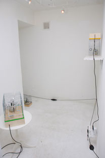 Installation at CAG gallery, St.Petersburg