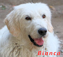Bianca - geb. 01/2013