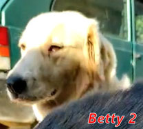 Betty 2 - Region Lanusei - geb. folgt