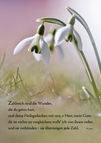 Schneeglöckchen, Christliche Karten