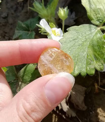 Citrine