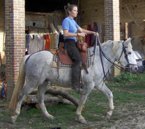 Oromë du Buis cheval de race camargue monté en harnachement camarguais selle gardiane