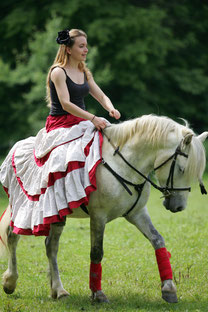 Rohan du Buis cheval de race Camargue dressage, cavalière robe